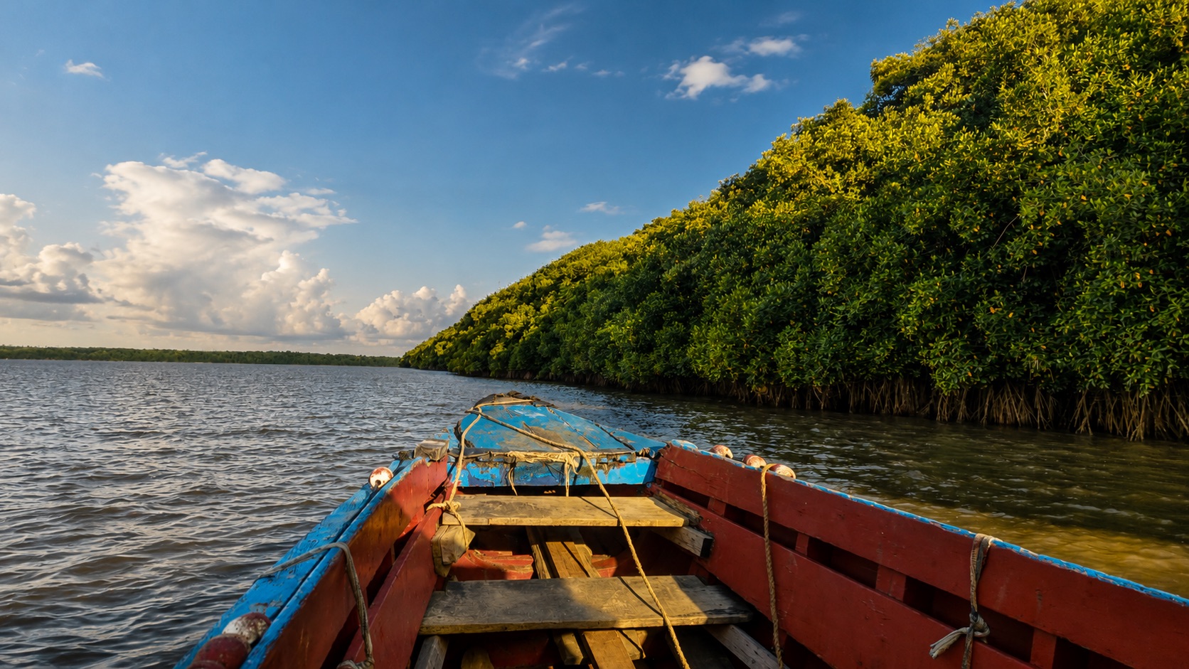 Commewijne river tour near Paramaribo